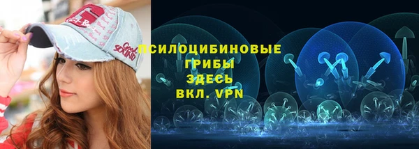 МДПВ Костерёво